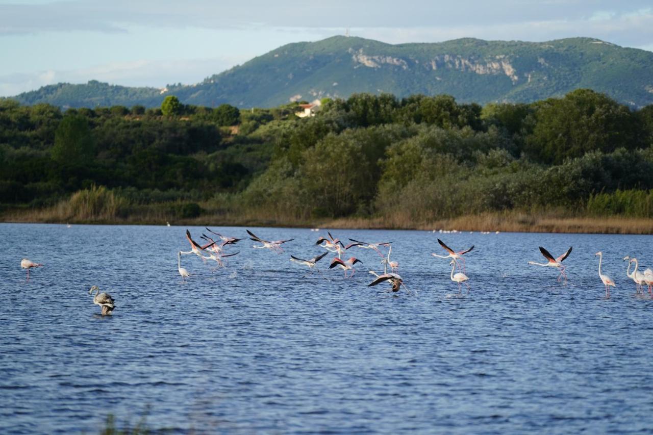 Stefanias Prasoudi Beach Ágios Matthaíos Exterior foto